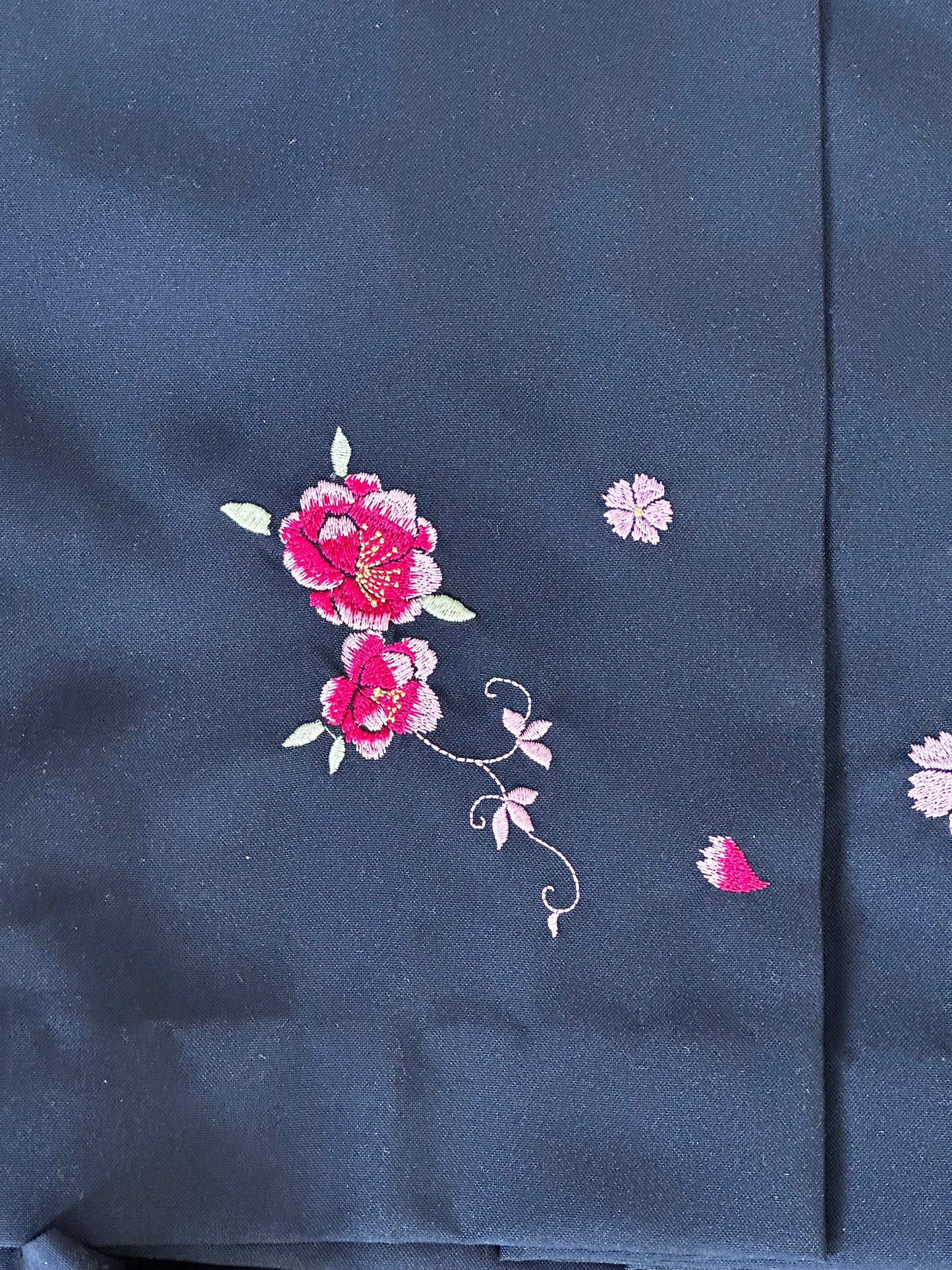 Hanami visează Hakama