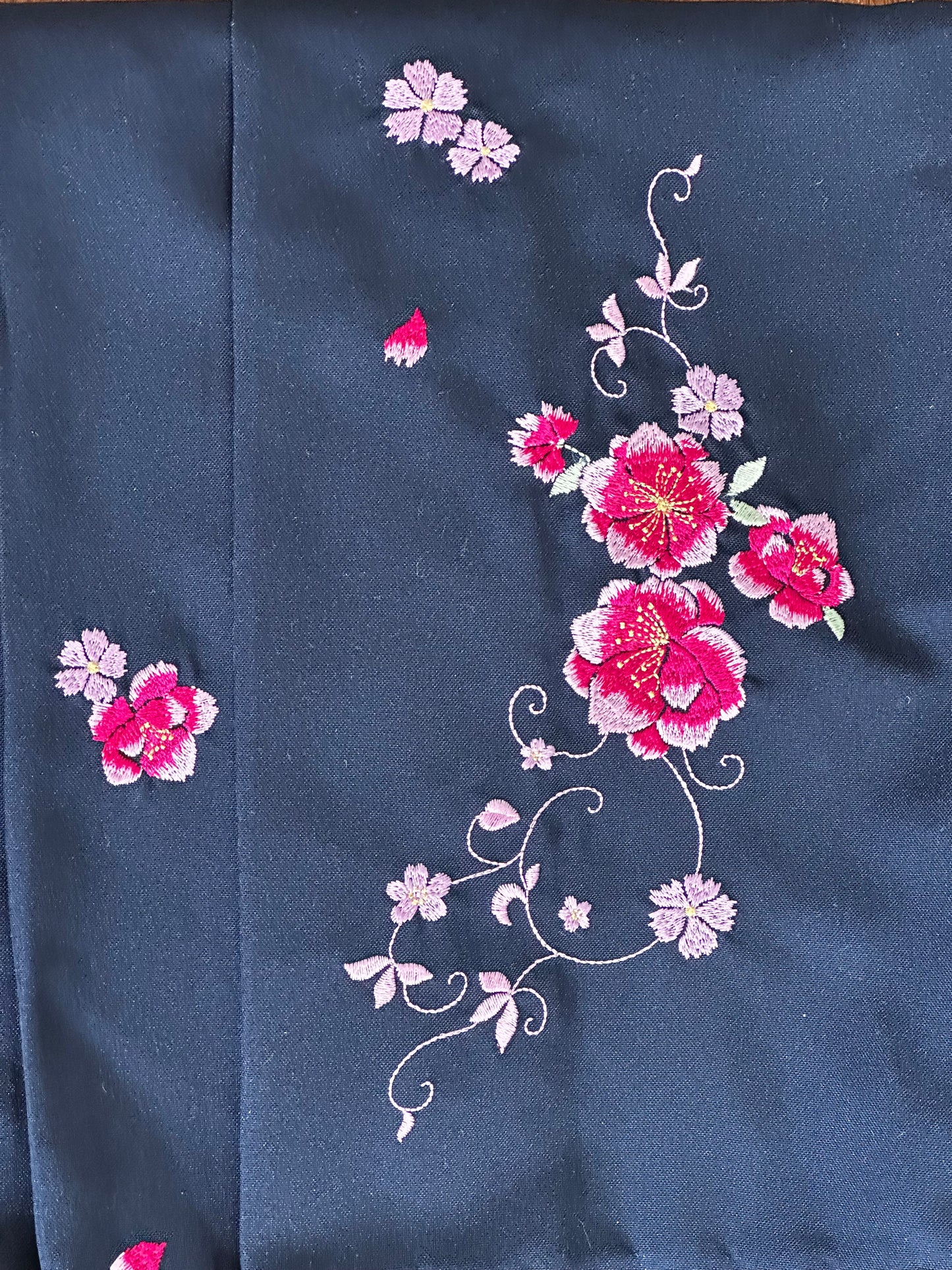 Hanami visează Hakama