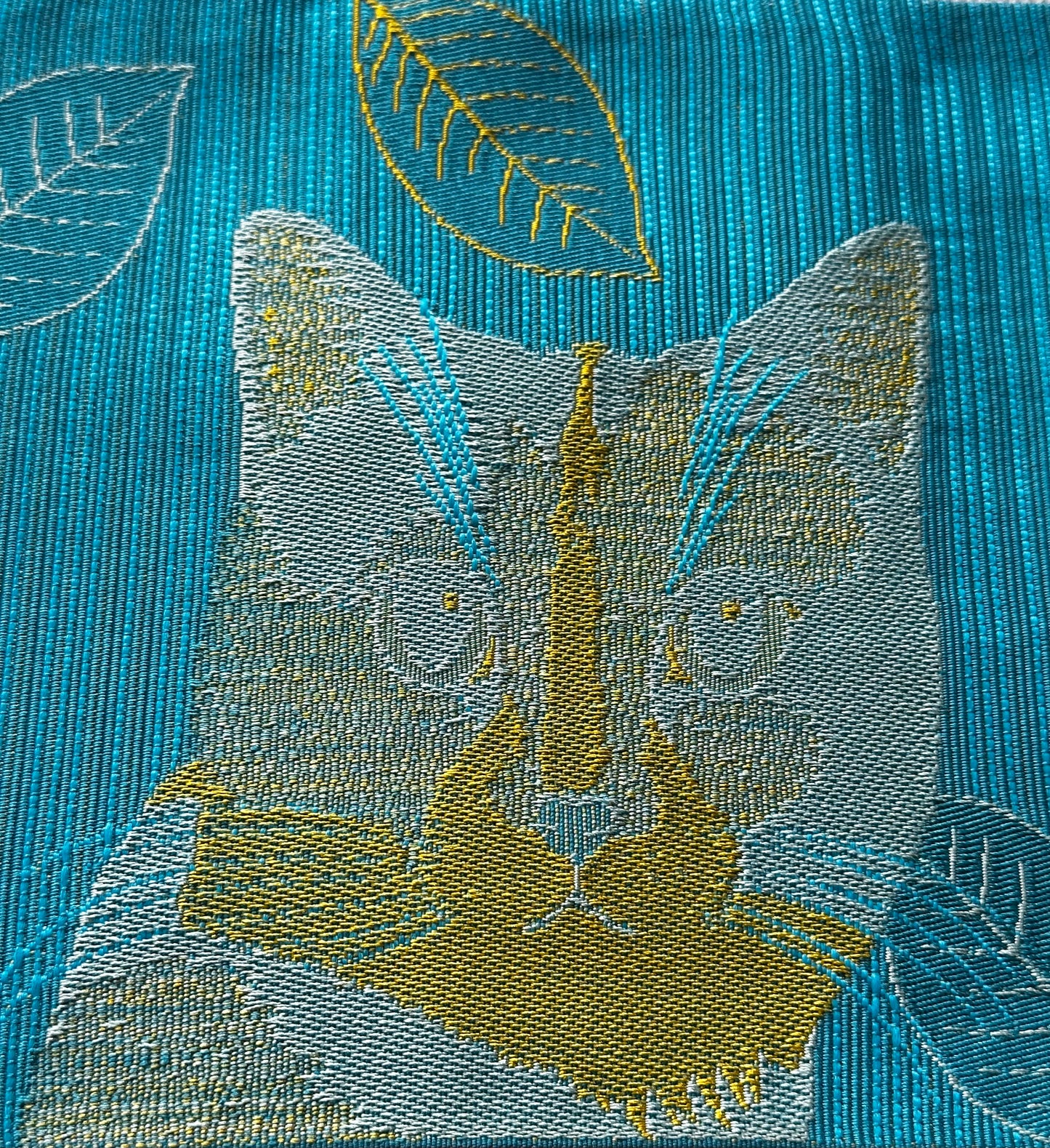 Curious Cats Hanhaba Obi