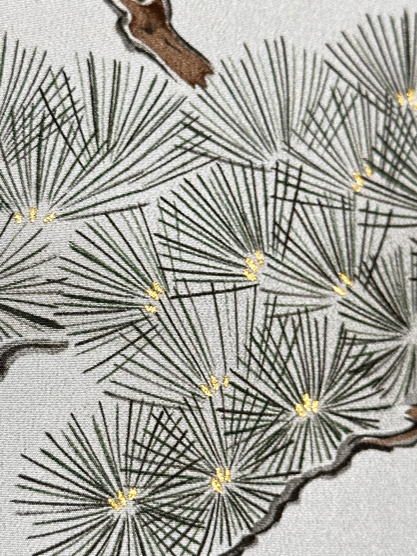 Ensimmäisen unelman Haori