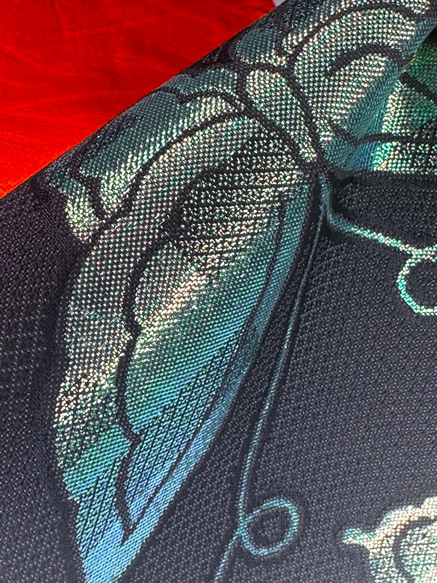 Butterfly & Sayagata Hanhaba Obi