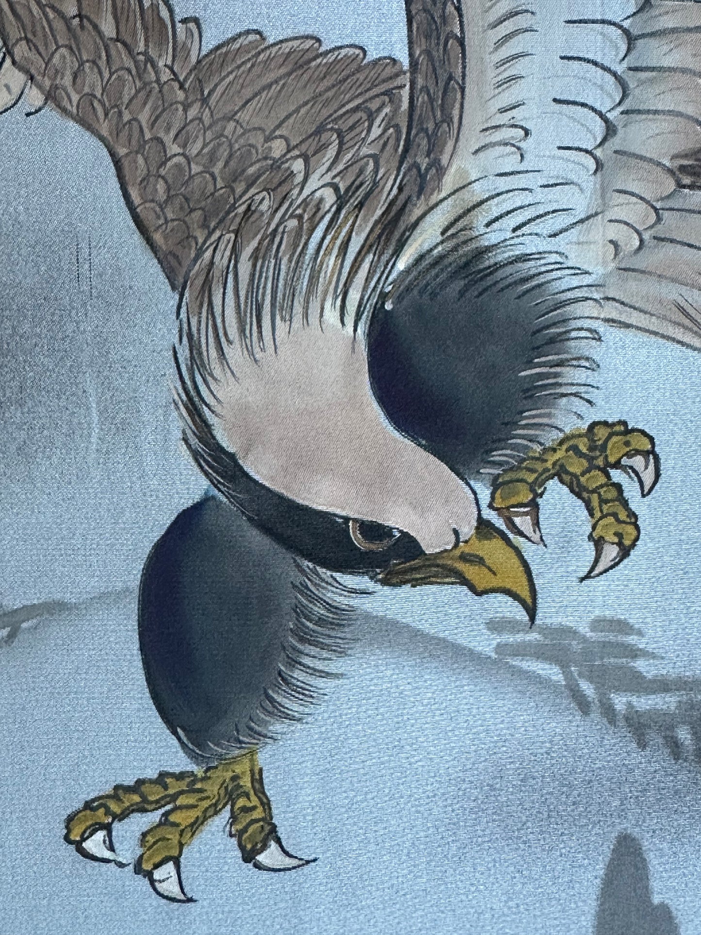 Hawk (Taka) Over Village Juban pictat manual